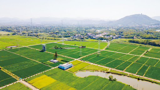 農地問題